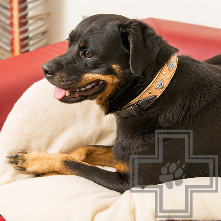 Ferplast Подушка мягкая RELAX 89/10F для собак Ferplast Подушка мягкая RELAX 89/10F для собак