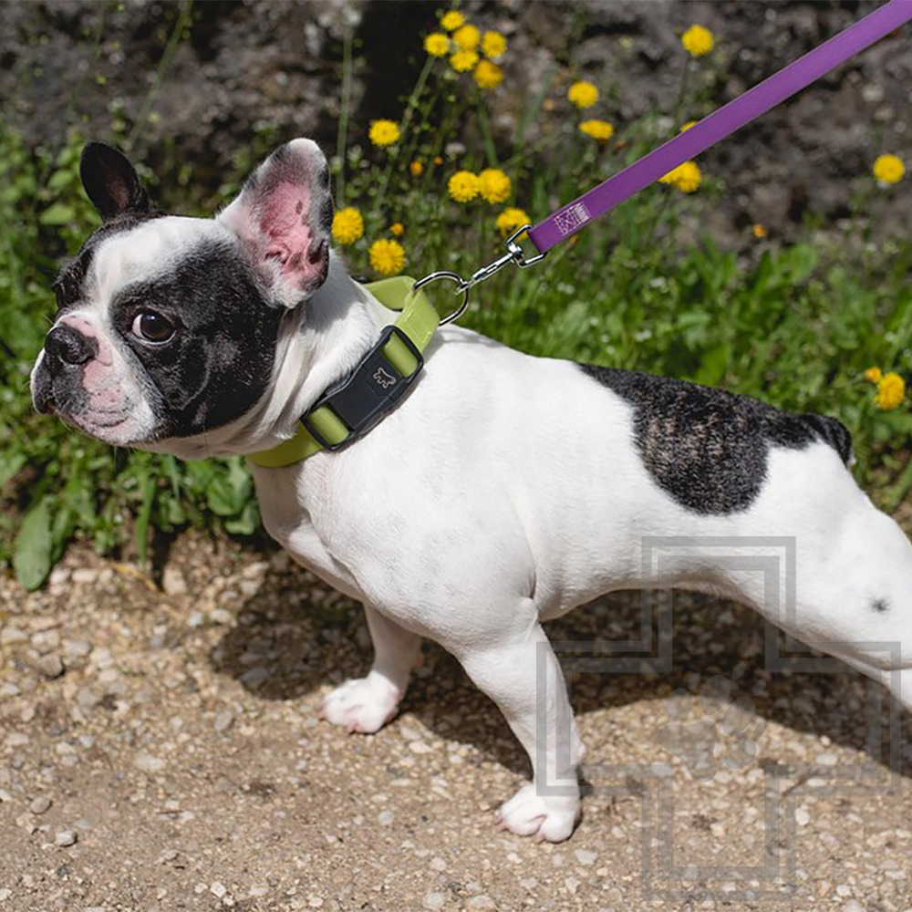 Ferplast Ошейник EVOLUTION с ПВХ покрытием и магнитной застежкой, 16 мм