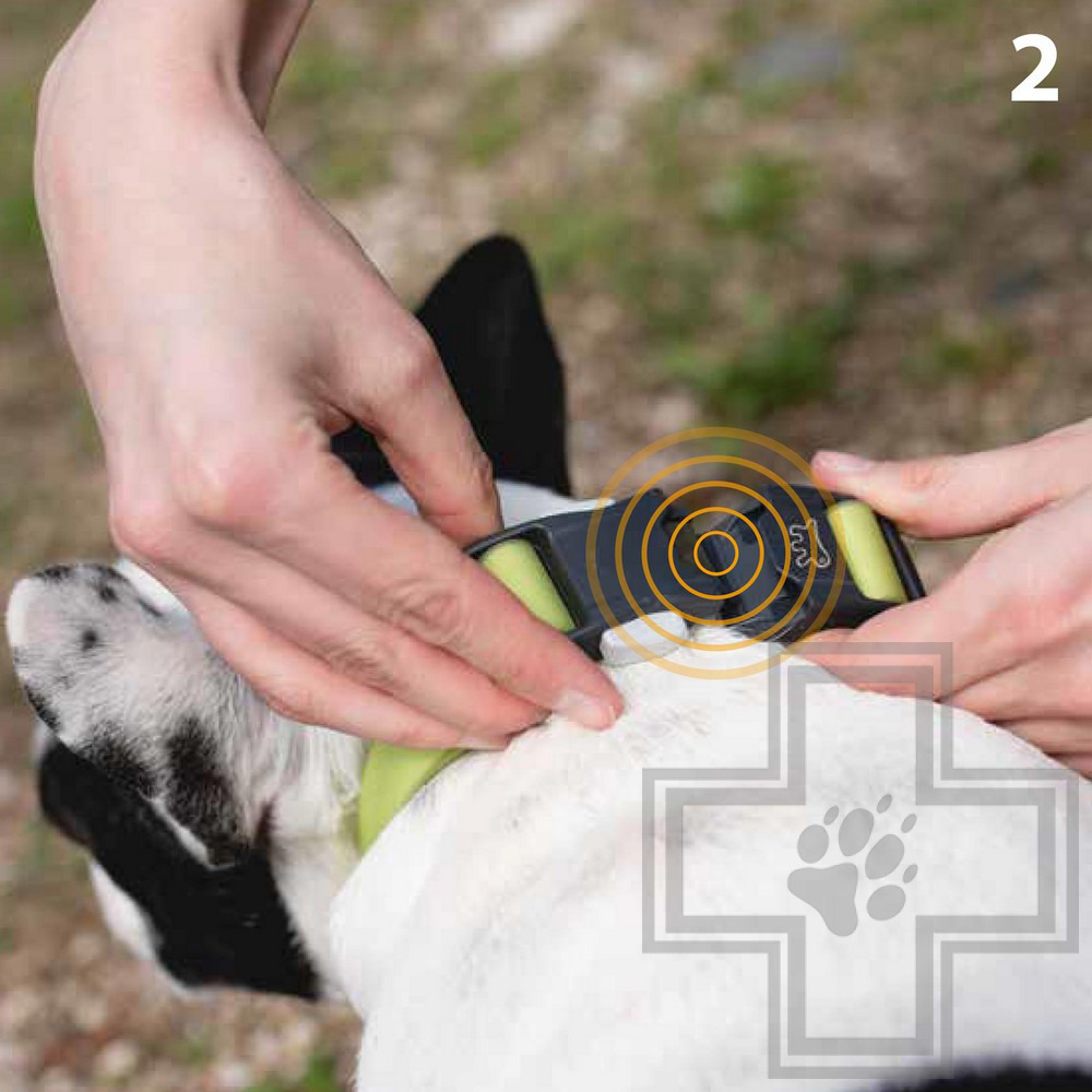 Ferplast Ошейник EVOLUTION с ПВХ покрытием и магнитной застежкой, 25 мм