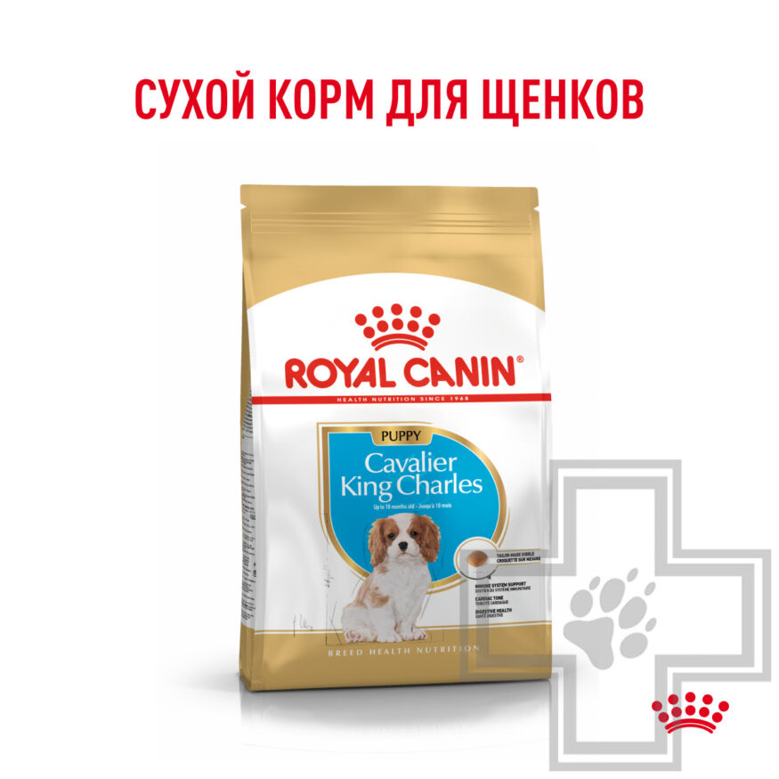Royal Canin Cavalier King Charles Puppy Корм для щенков породы Кавалер кинг чарльз спаниель Royal Canin Cavalier King Charles Puppy Корм для щенков породы Кавалер кинг чарльз спаниель