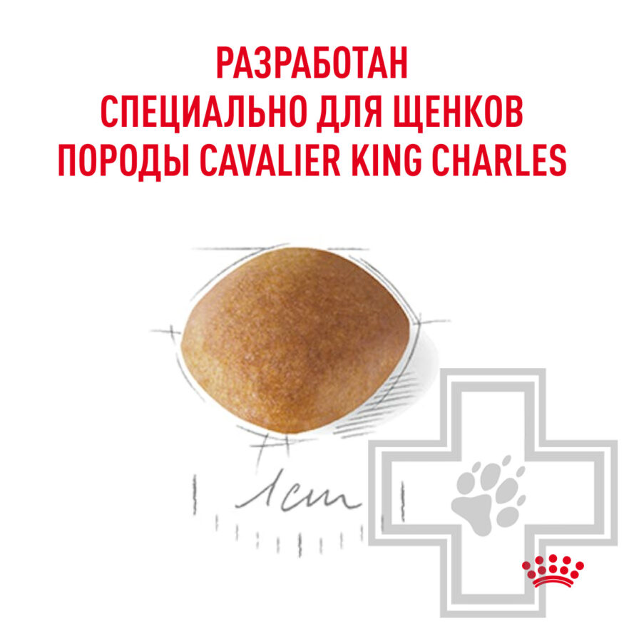 Royal Canin Cavalier King Charles Puppy Корм для щенков породы Кавалер кинг чарльз спаниель Royal Canin Cavalier King Charles Puppy Корм для щенков породы Кавалер кинг чарльз спаниель