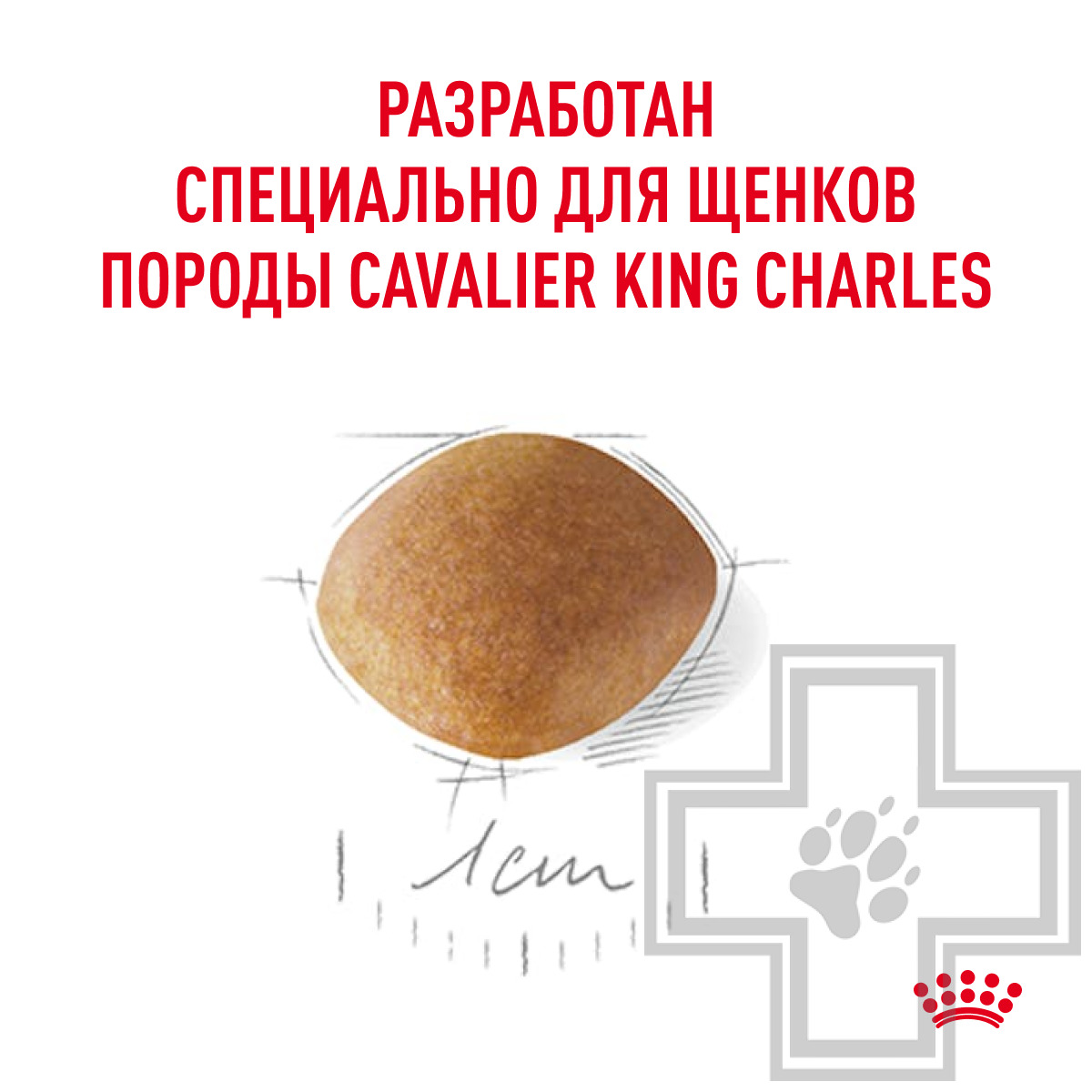 Royal Canin Cavalier King Charles Puppy Корм для щенков породы Кавалер кинг чарльз спаниель