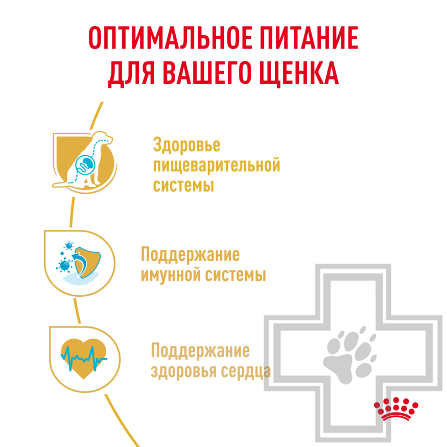 Royal Canin Cavalier King Charles Puppy Корм для щенков породы Кавалер кинг чарльз спаниель Royal Canin Cavalier King Charles Puppy Корм для щенков породы Кавалер кинг чарльз спаниель