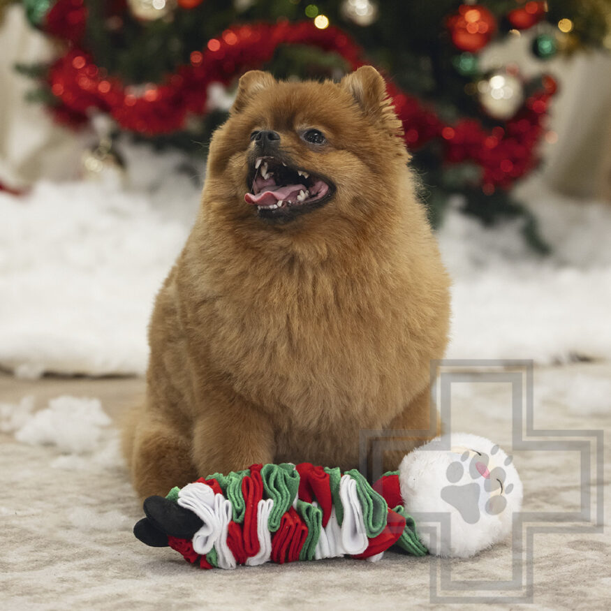 Beeztees Игрушка плюшевая "Санта Клаус" для собак Beeztees Игрушка плюшевая "Санта Клаус" для собак