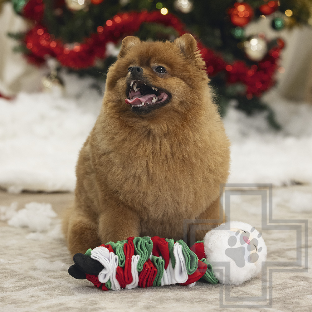 Beeztees Игрушка плюшевая "Санта Клаус" для собак