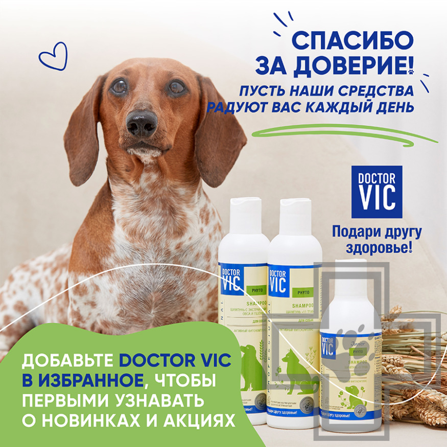 Doctor VIC Шампунь с экстрактами овса и пшеницы для собак всех пород