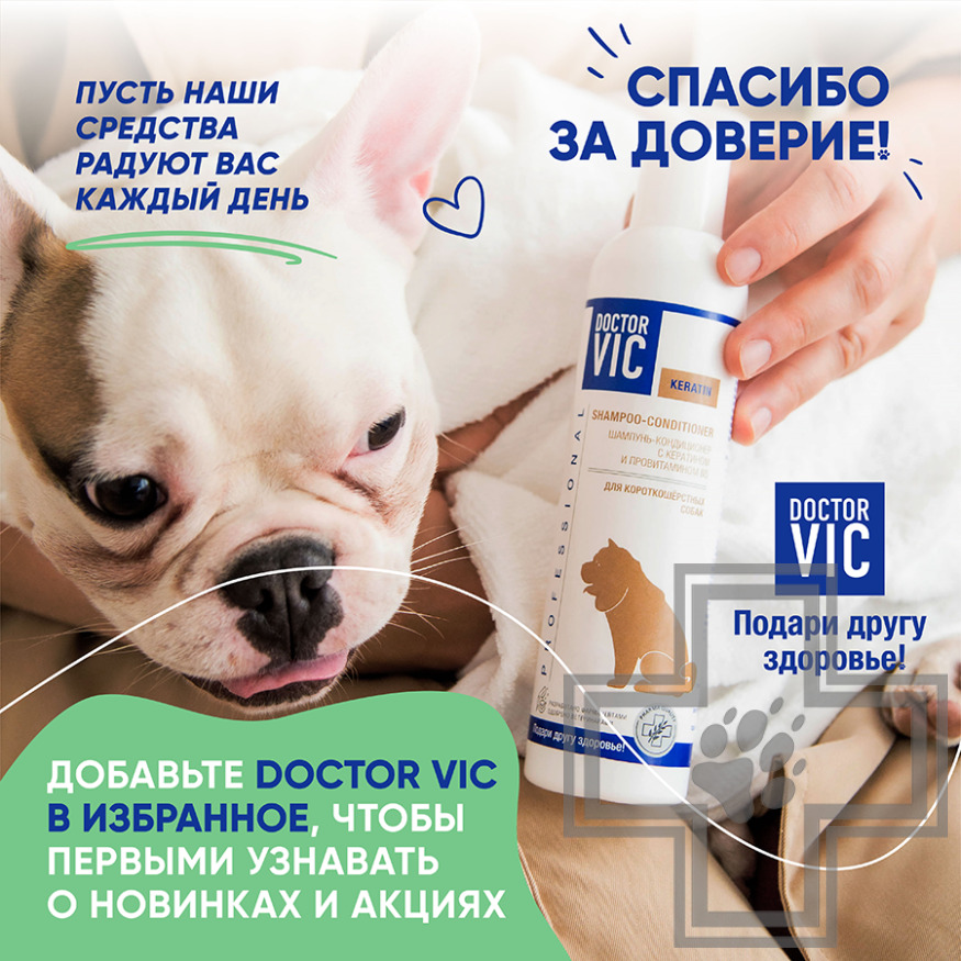 Doctor VIC Шампунь-кондиционер с кератином и провитамином В5 для короткошерстных собак