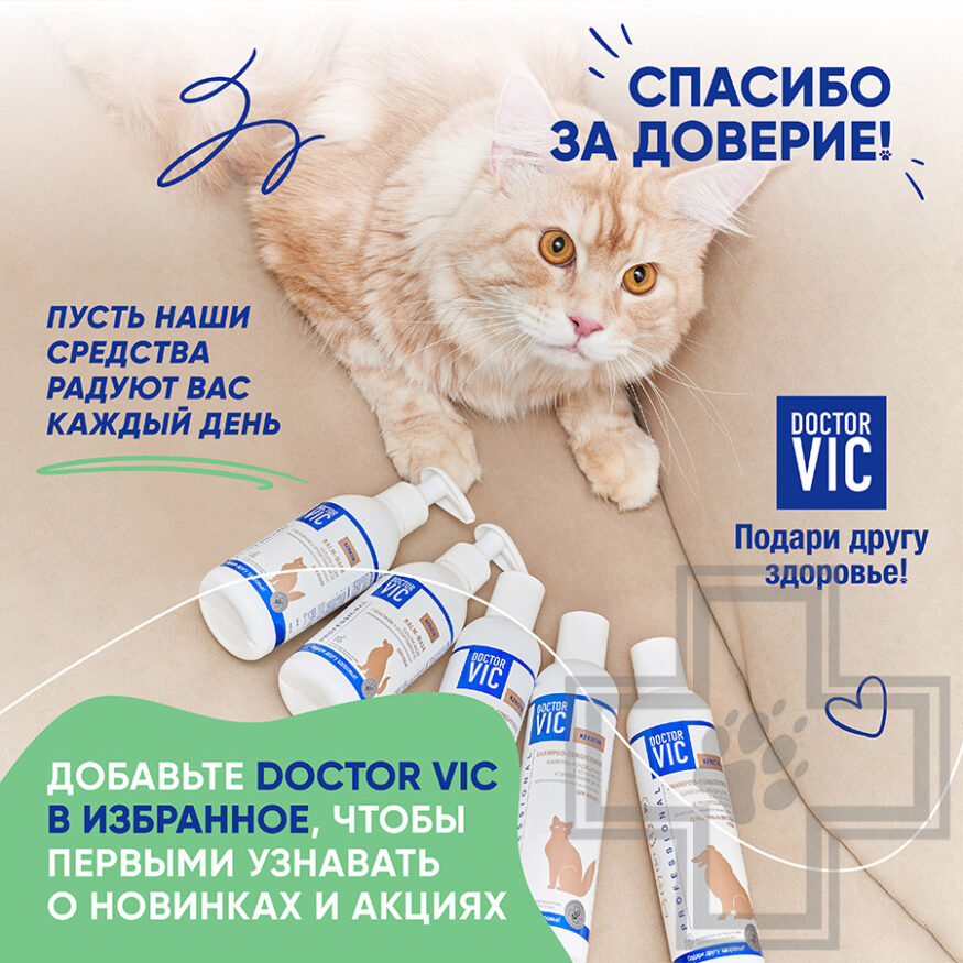 Doctor VIC Шампунь-кондиционер с кератином и провитамином В5 для кошек