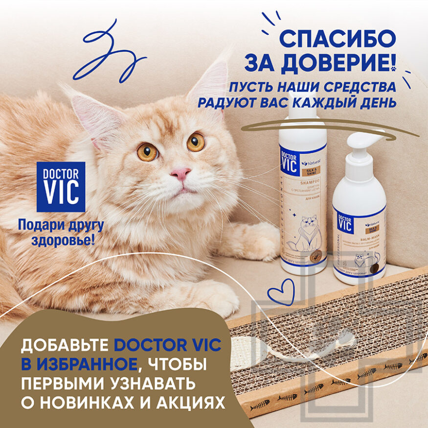 Doctor VIC Шампунь для кошек с протеинами шелка