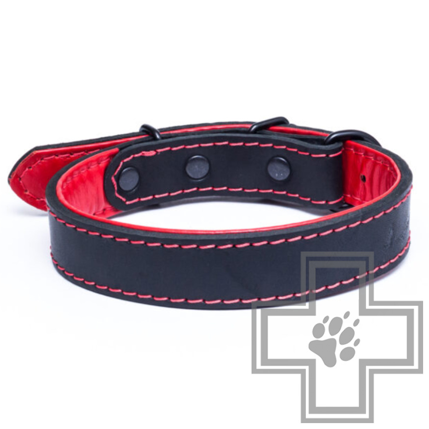 Gripalle Кожаный ошейник "Остин S" для собак, 25 мм Gripalle Кожаный ошейник "Остин S" для собак, 25 мм