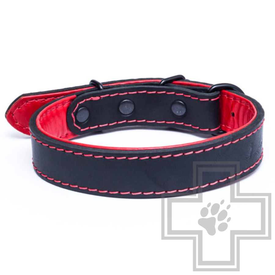 Gripalle Кожаный ошейник "Остин S" для собак, 40 мм