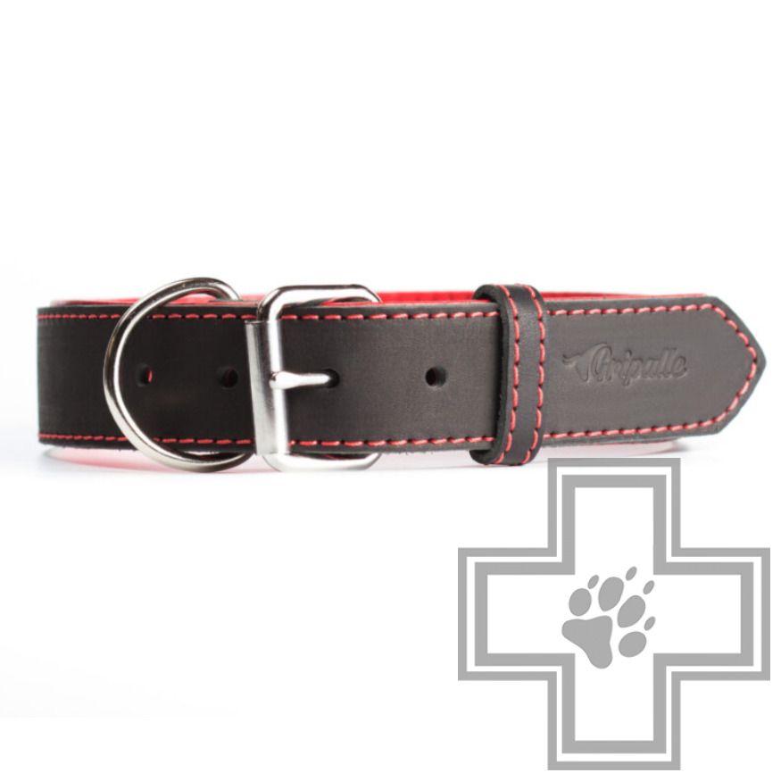 Gripalle Кожаный ошейник "Остин S" для собак, 40 мм Gripalle Кожаный ошейник "Остин S" для собак, 40 мм