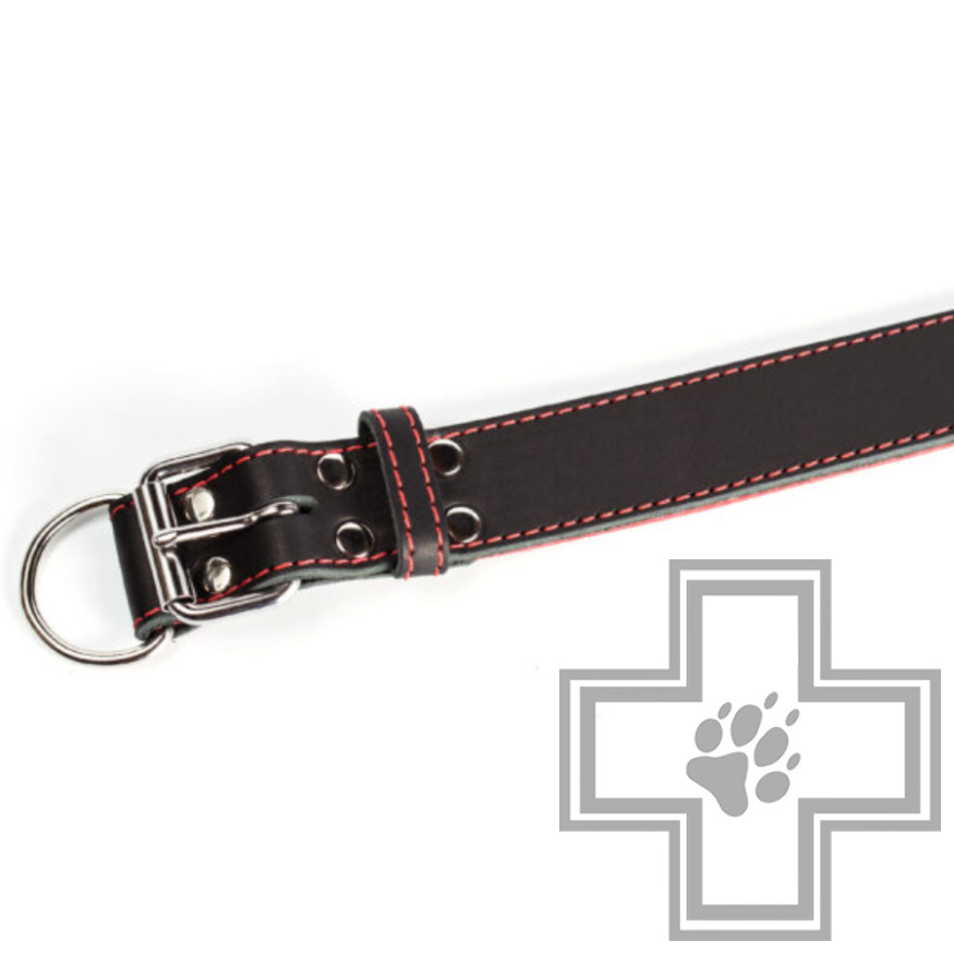 Gripalle Кожаный ошейник "Остин S" для собак, 40 мм Gripalle Кожаный ошейник "Остин S" для собак, 40 мм