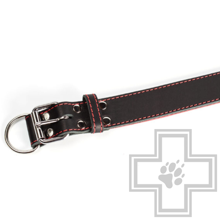 Gripalle Кожаный ошейник "Остин S" для собак, 40 мм