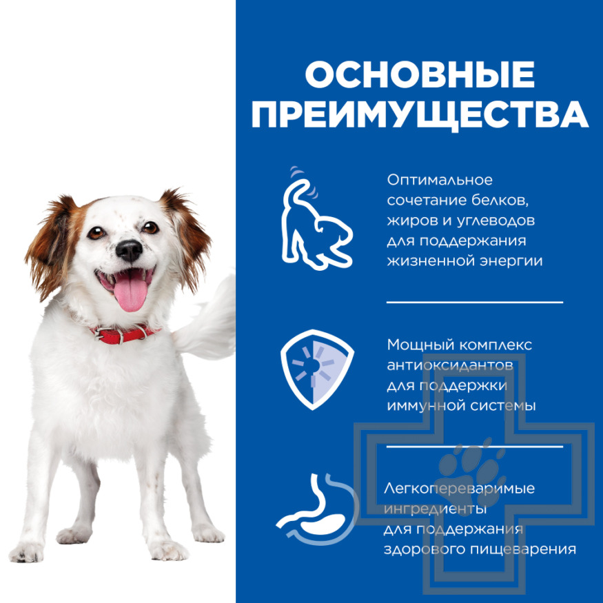Hill's SP Small & Mini Adult Консервы для взрослых собак мелких пород, мусс из курицы