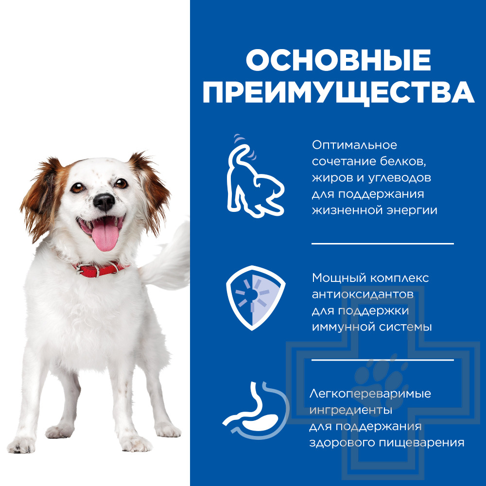 Hill's SP Small & Mini Adult Консервы для взрослых собак мелких пород, мусс из говядины