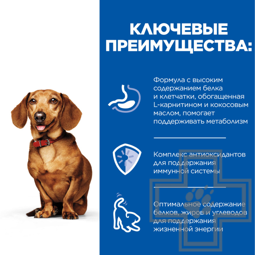 Hill's SP Small & Mini Perfect Weight Консервы  для взрослых собак мелких пород, мусс из индейки Hill's SP Small & Mini Perfect Weight Консервы для взрослых собак мелких пород, мусс из индейки