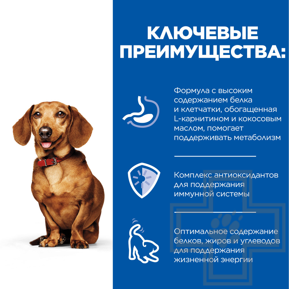 Hill's SP Small & Mini Perfect Weight Консервы для взрослых собак мелких пород, мусс из индейки