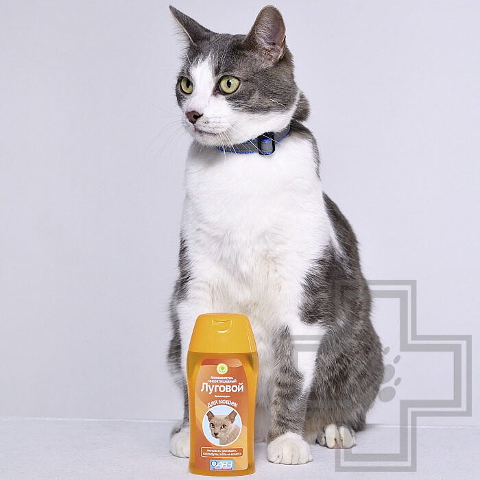 Шампунь "Луговой" от блох и клещей для кошек Шампунь "Луговой" от блох и клещей для кошек