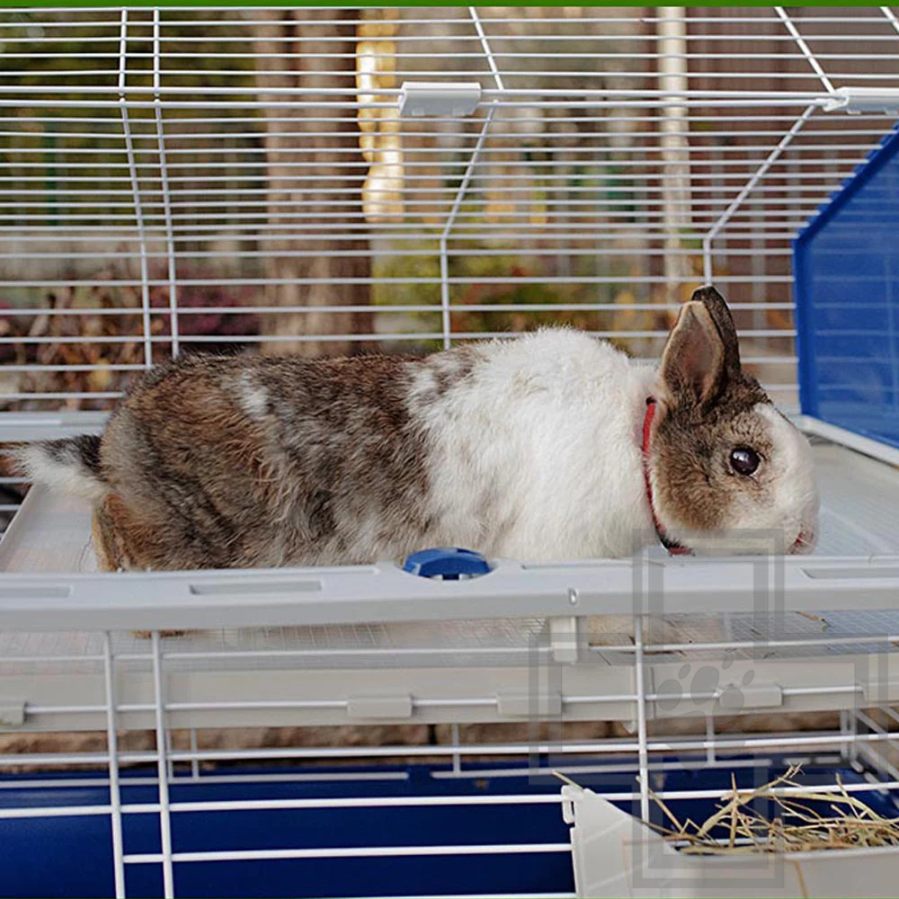 Ferplast BARN 100 Клетка для кроликов в комплекте с аксессуарами