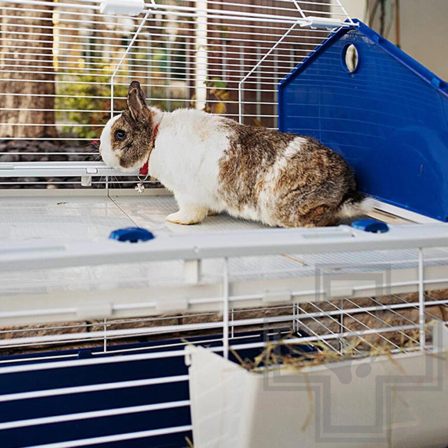 Ferplast BARN 100 Клетка для кроликов в комплекте с аксессуарами Ferplast BARN 100 Клетка для кроликов в комплекте с аксессуарами