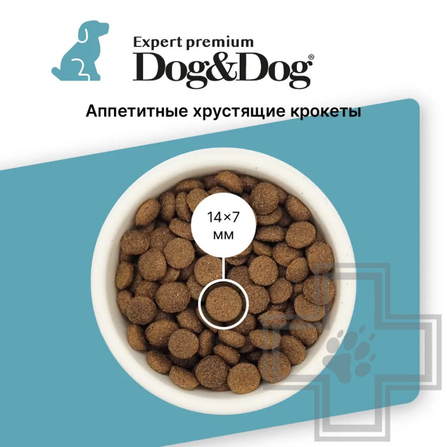 Dog&Dog Expert Premium Top-Fish Корм для взрослых собак всех пород, с рыбой