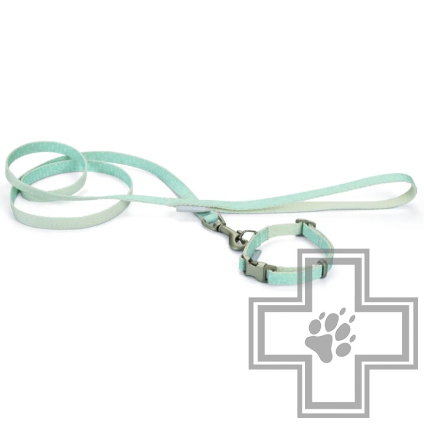 Beeztees Ошейник с поводком Tori, 10 мм