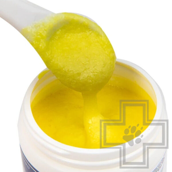 ISB Mineral Шампунь-крем "Золфо плюс" с коллоидной серой для проблемной кожи и шерсти ISB Mineral Шампунь-крем "Золфо плюс" с коллоидной серой для проблемной кожи и шерсти