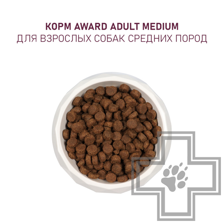 AWARD Корм для взрослых собак средних пород, с индейкой и курицей