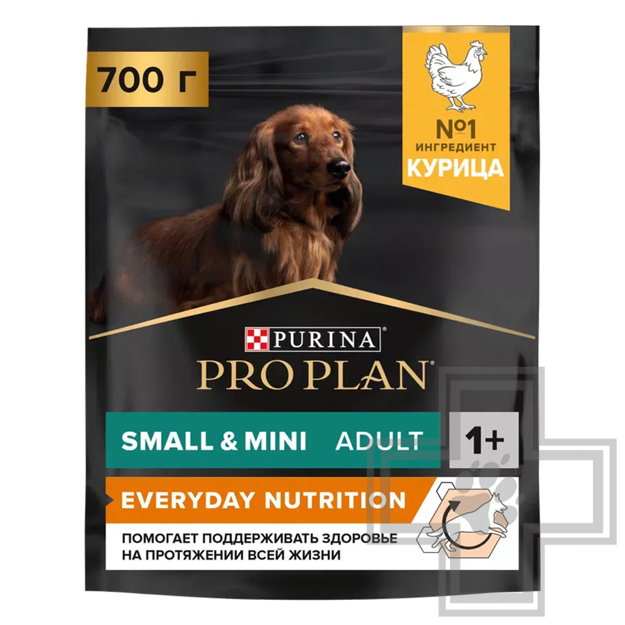Pro Plan Everyday Nutrition Small & Mini Adult Корм для взрослых собак мелких пород, с курицей