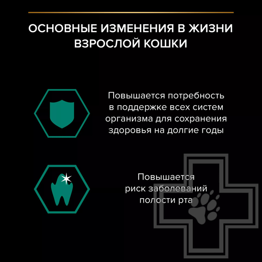 Pro Plan Maintenance Adult Пресервы для взросых кошек, ягненок в желе