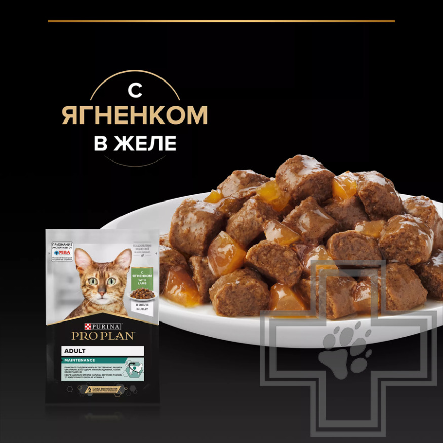 Pro Plan Maintenance Adult Пресервы для взросых кошек, ягненок в желе