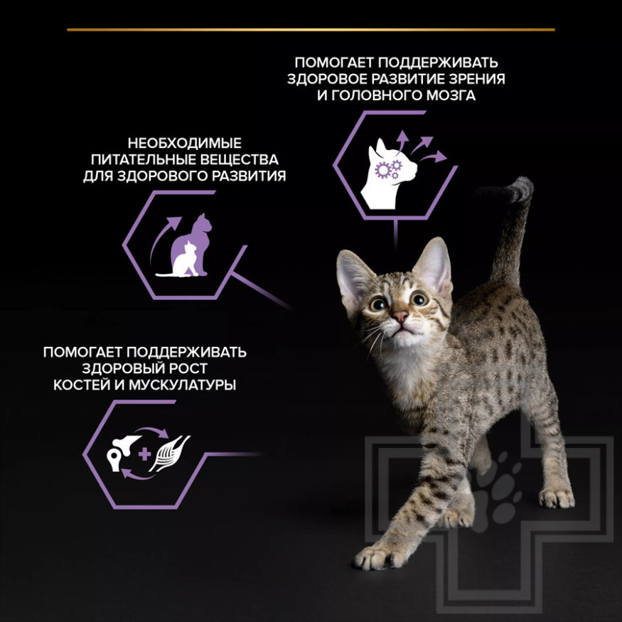 Pro Plan Healthy Start Kitten Пресервы для котят до года, курица в желе Pro Plan Healthy Start Kitten Пресервы для котят до года, курица в желе