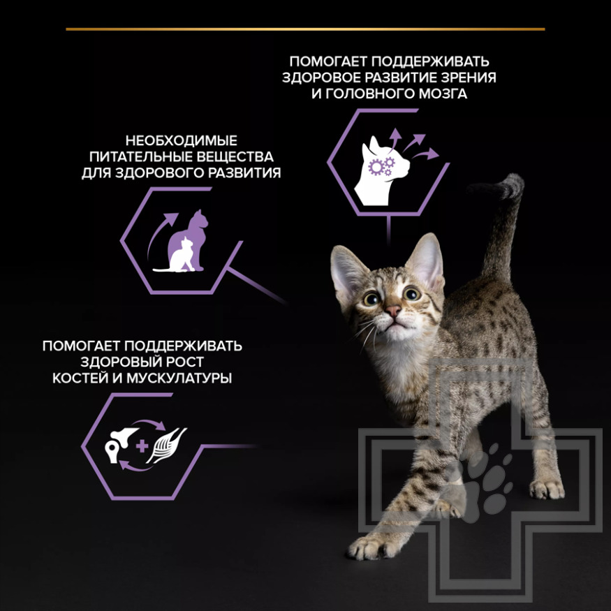Pro Plan Healthy Start Kitten Пресервы для котят, беременных и кормящих кошек, индейка в соусе
