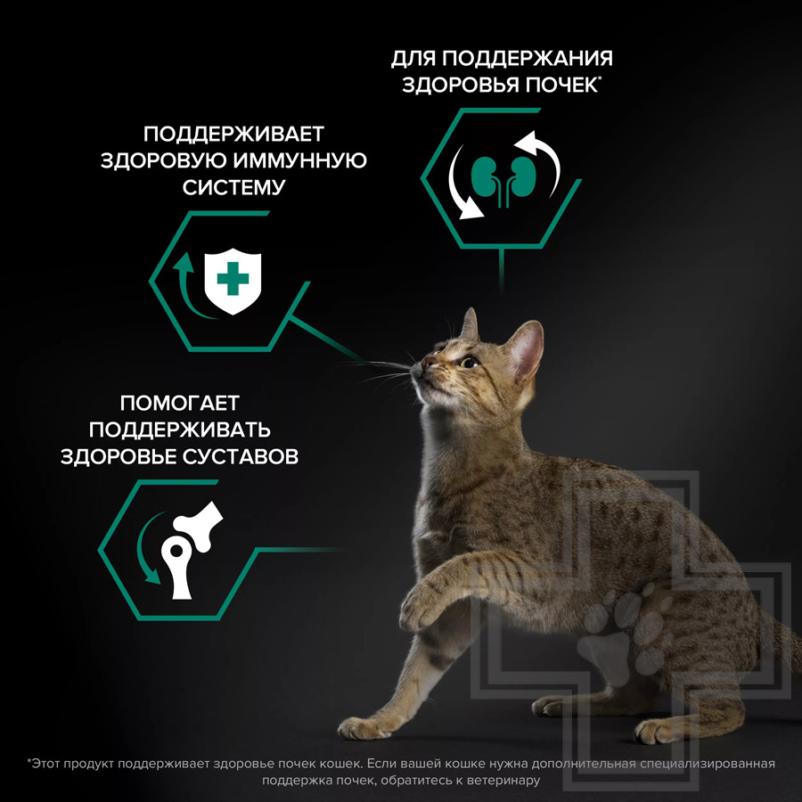 Pro Plan Renal Plus Adult Корм для взрослых кошек для поддержания здоровья почек, с курицей