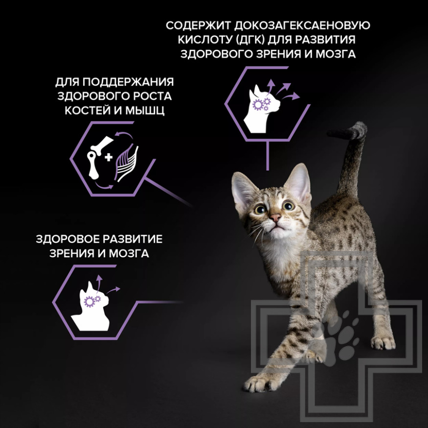 Pro Plan Healthy Start Kitten Корм для котят, беременных и кормящих кошек, с курицей