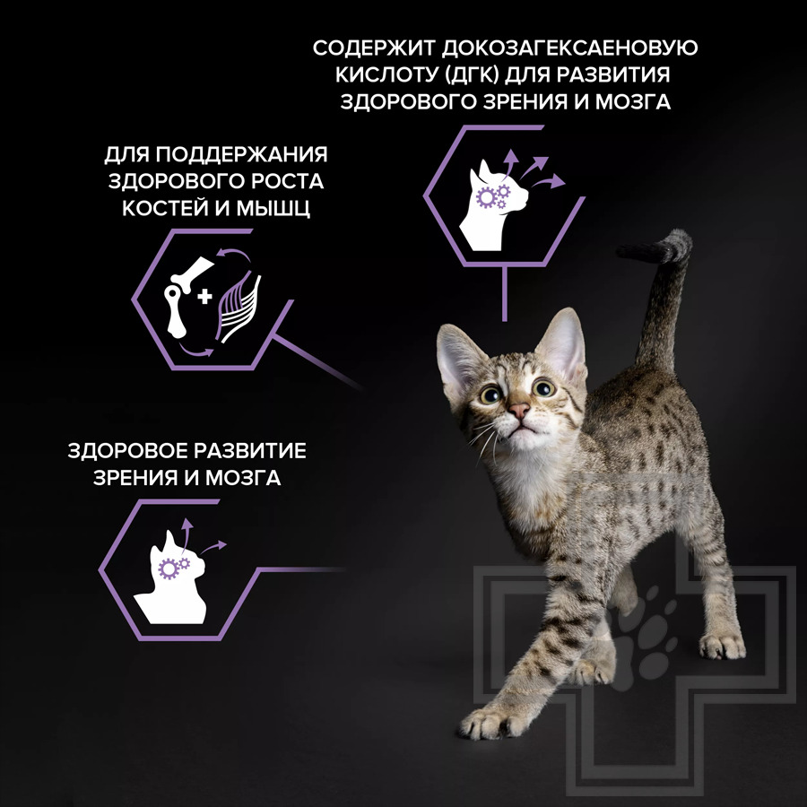 Pro Plan Healthy Start Kitten Корм для котят, беременных и кормящих кошек, с курицей