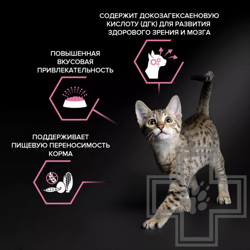 Pro Plan Delicate Digestion Kitten Корм для котят для чувствительного пищеварения, с индейкой