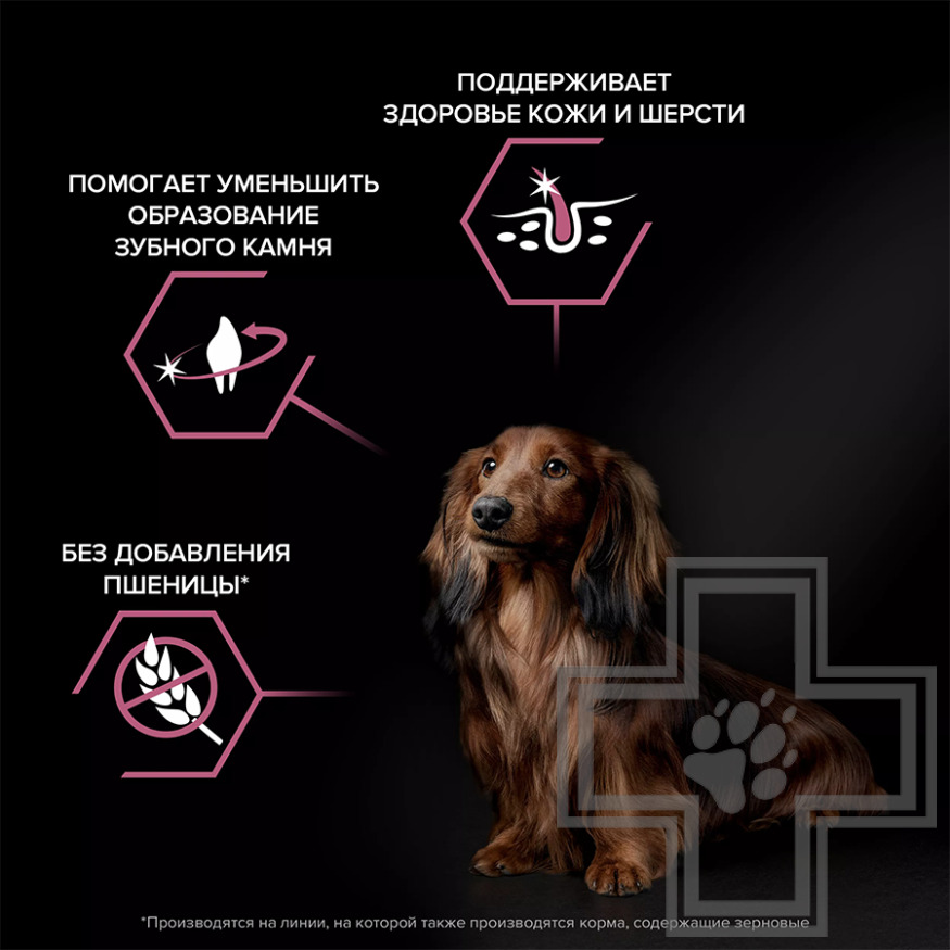 Pro Plan Sensitive Skin Small & Mini Adult Корм для взрослых собак мелких пород, с лососем