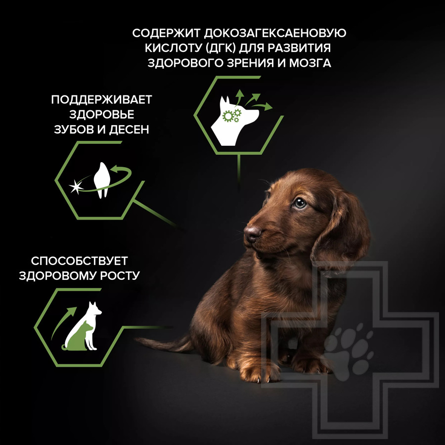 Purina Pro Plan Healthy Start Small & Mini Puppy Корм для щенков мелких пород, с курицей