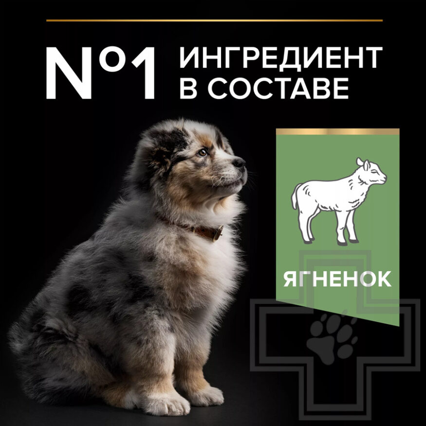 Pro Plan Sensitive Digestion Medium Puppy Корм для щенков средних пород, с ягненком