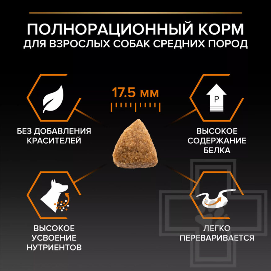 Pro Plan Everyday Nutrition Корм для взрослых собак средних пород, с курицей