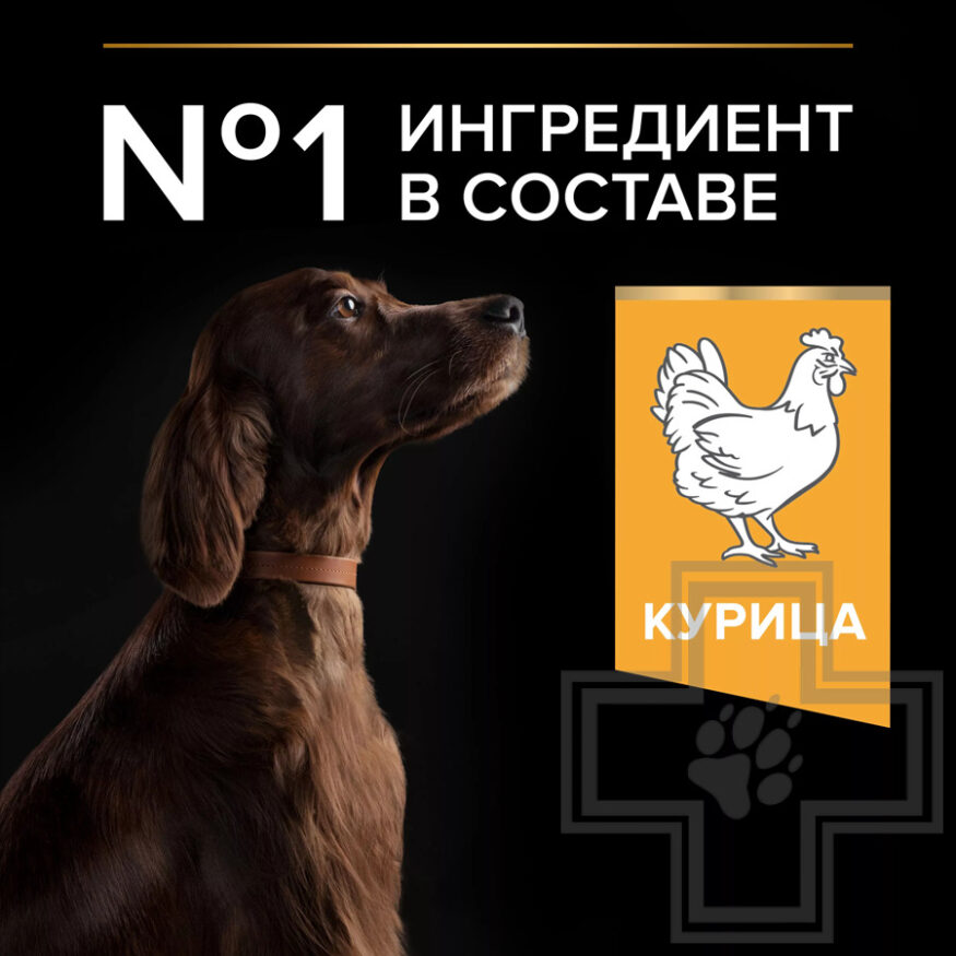 Pro Plan Everyday Nutrition Корм для собак крупных пород с атлетическим телосложением, с курицей