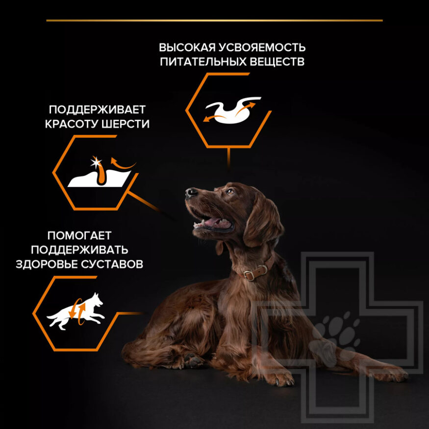 Pro Plan Everyday Nutrition Корм для собак крупных пород с атлетическим телосложением, с курицей