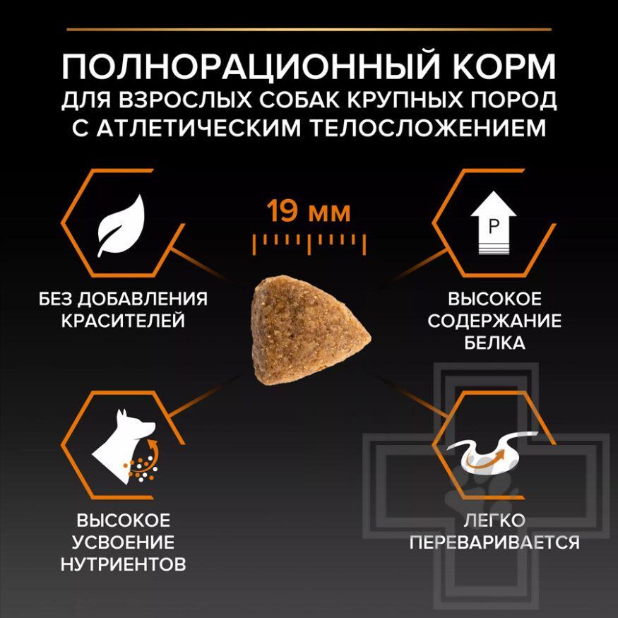 Pro Plan Everyday Nutrition Корм для собак крупных пород с атлетическим телосложением, с курицей