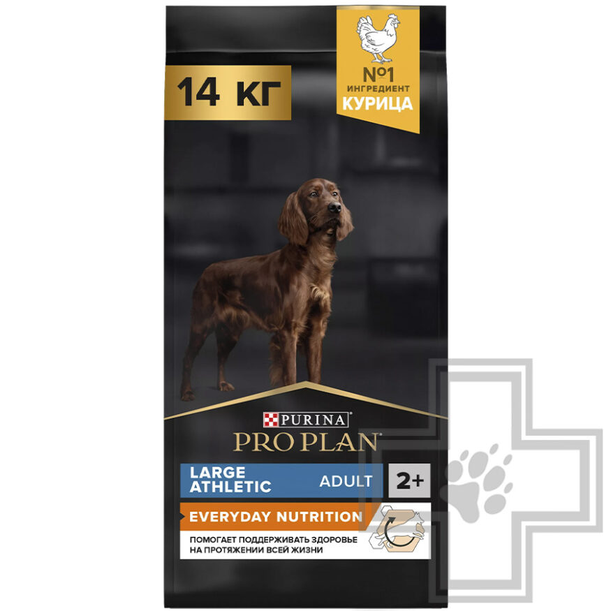 Pro Plan Everyday Nutrition Корм для собак крупных пород с атлетическим телосложением, с курицей