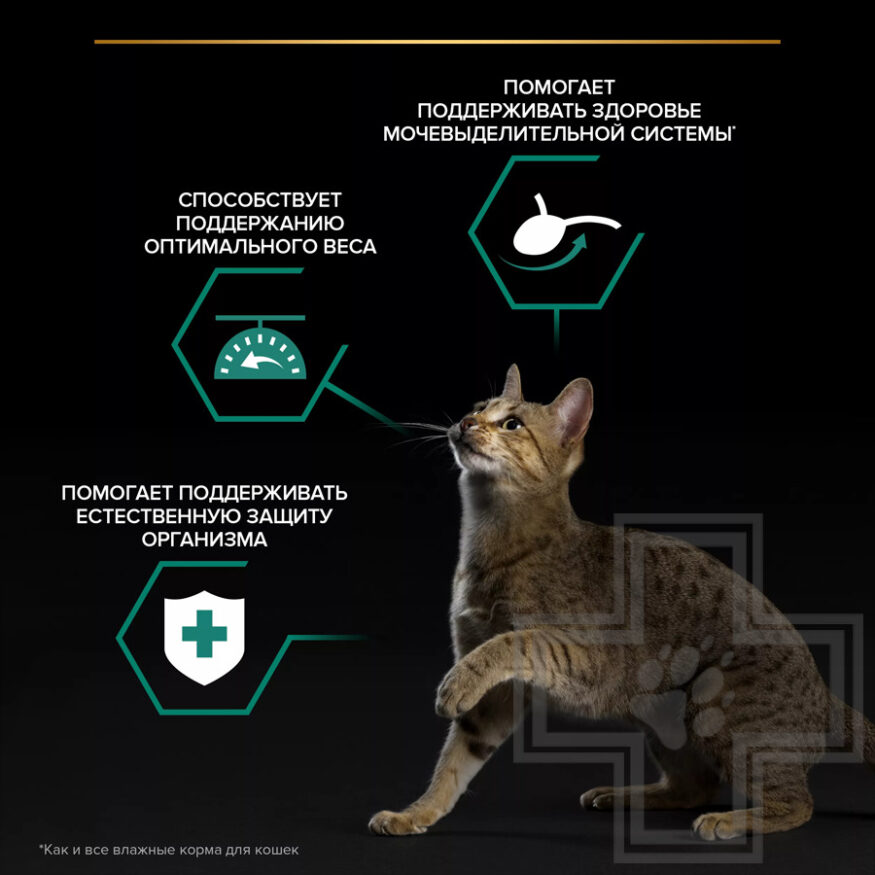 Pro Plan Maintenance Sterilised Adult Пресервы для взрослых стерилизованных кошек, с уткой в соусе Pro Plan Maintenance Sterilised Adult Пресервы для взрослых стерилизованных кошек, с уткой в соусе