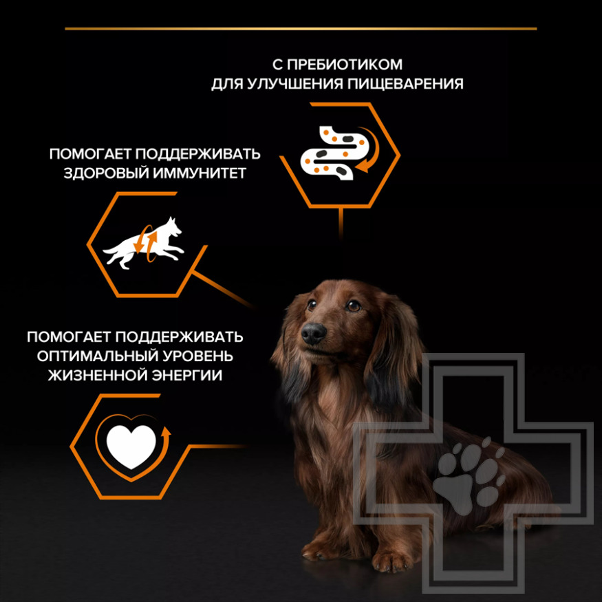Pro Plan Everyday Nutrition Пресервы для взрослых собак мелких пород, с говядиной