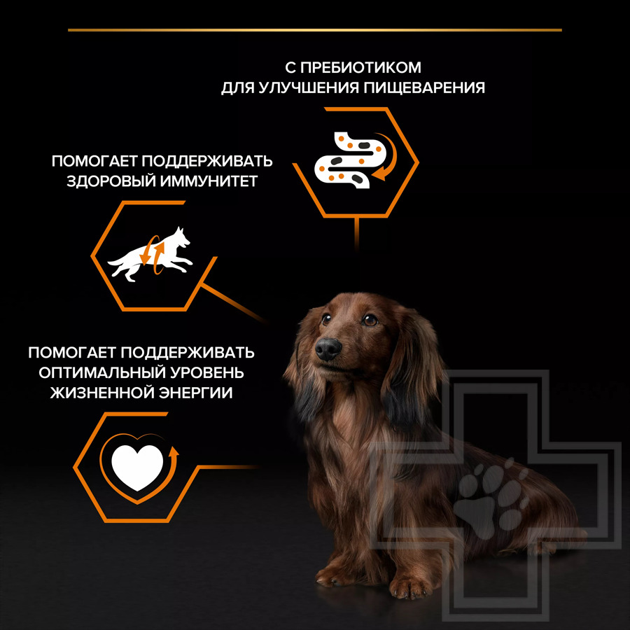 Pro Plan Everyday Nutrition Пресервы для взрослых собак мелких пород, с говядиной