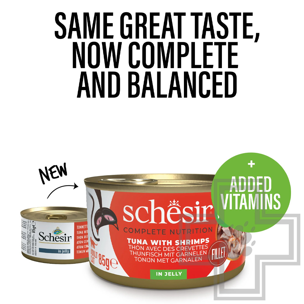 Schesir Complements Консервы для взрослых кошек, с тунцом и креветками в желе
